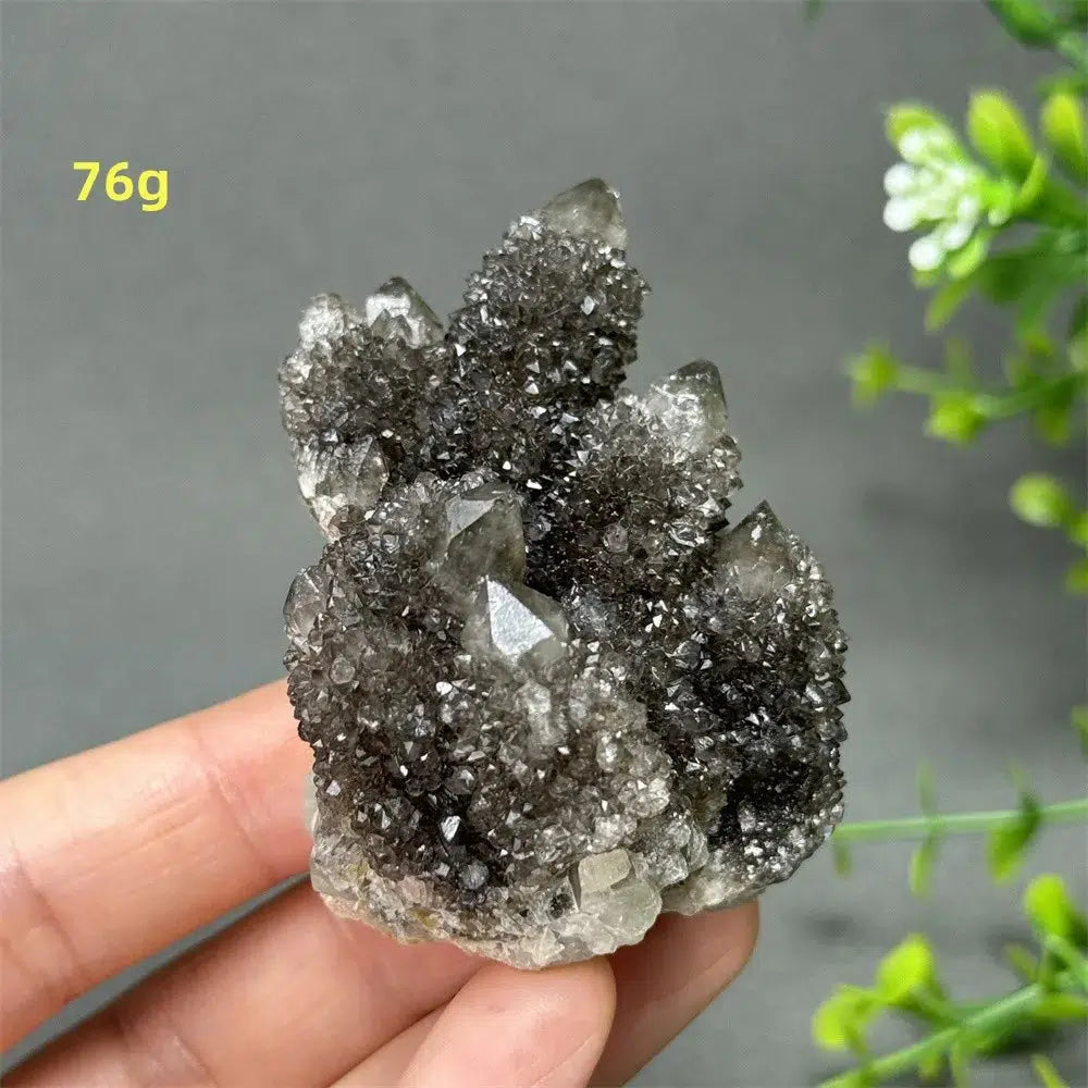 Natural Rare Black Cactus Quartz