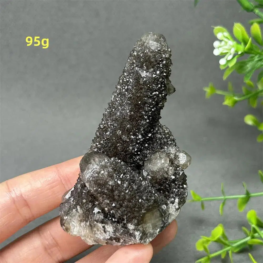 Natural Rare Black Cactus Quartz