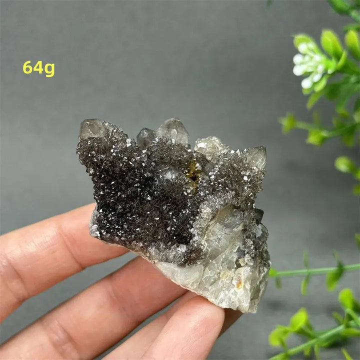 Natural Rare Black Cactus Quartz