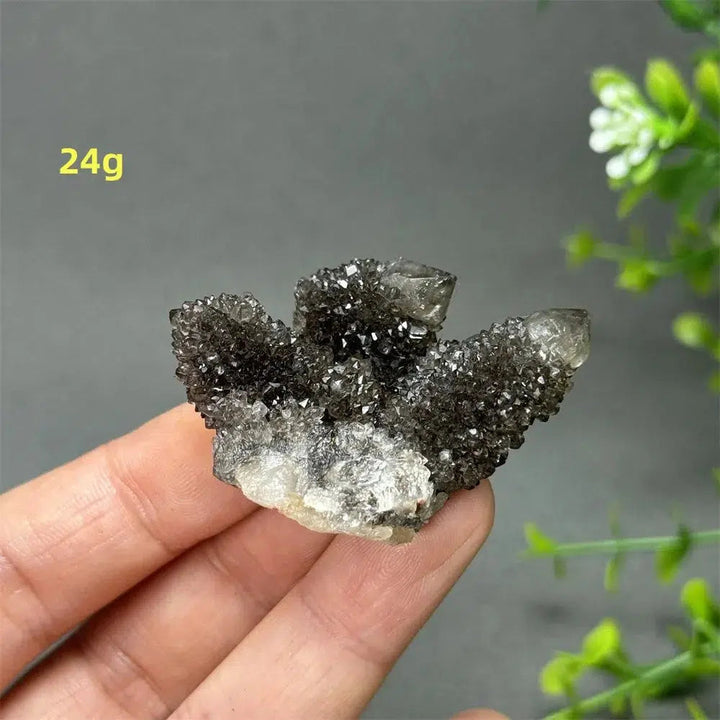 Natural Rare Black Cactus Quartz