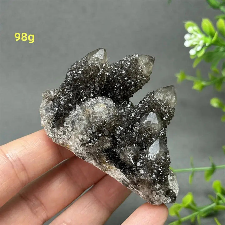 Natural Rare Black Cactus Quartz