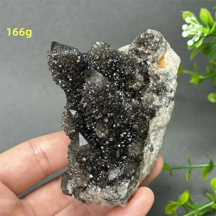 Natural Rare Black Cactus Quartz