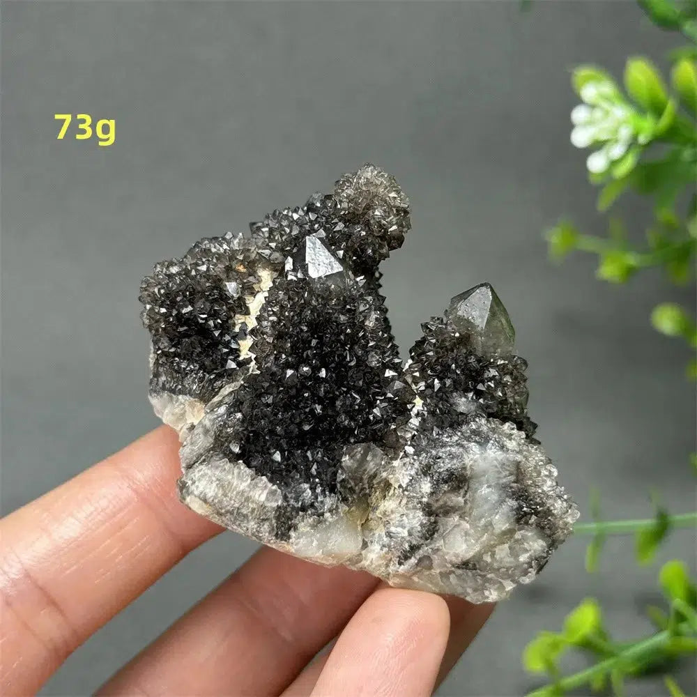 Natural Rare Black Cactus Quartz