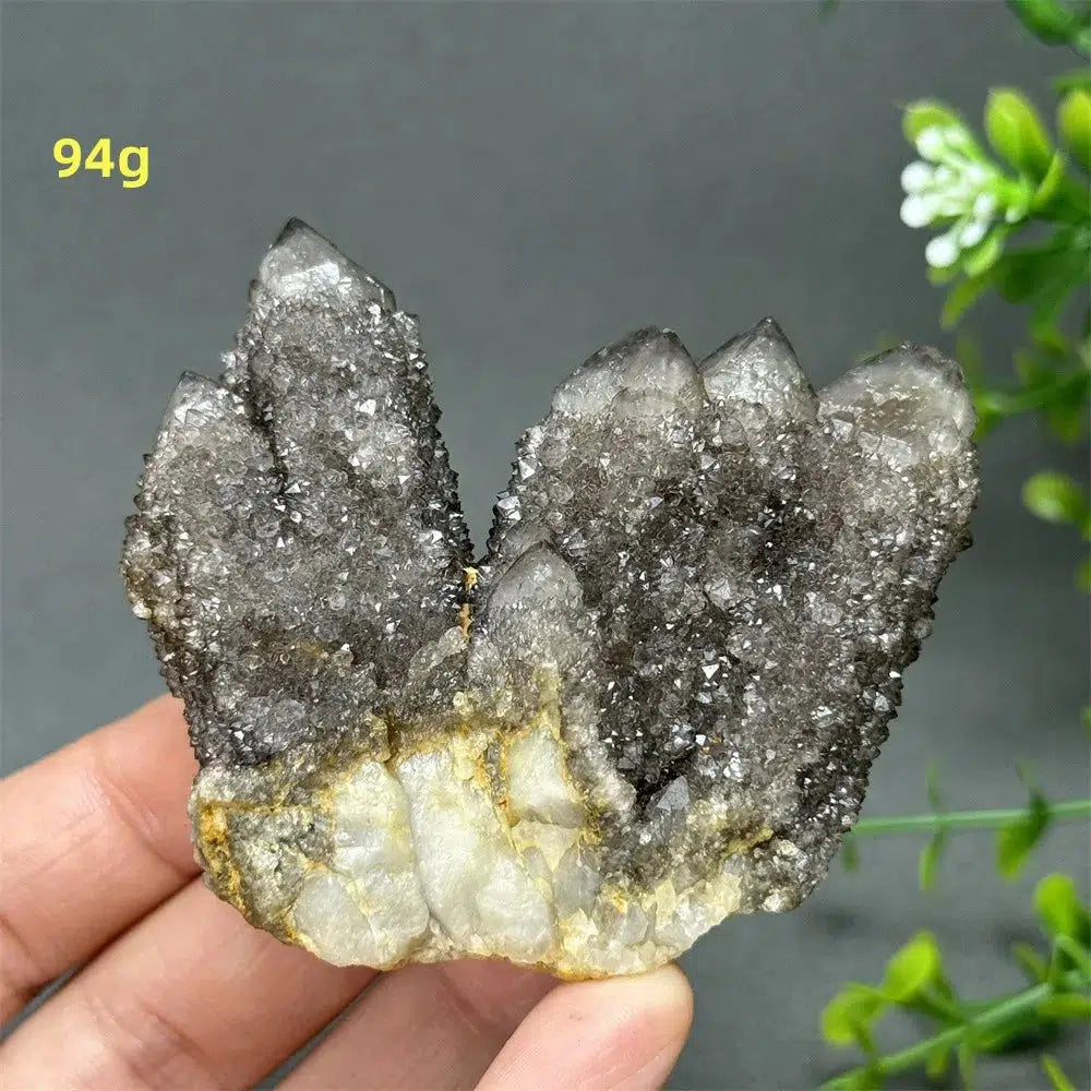 Natural Rare Black Cactus Quartz