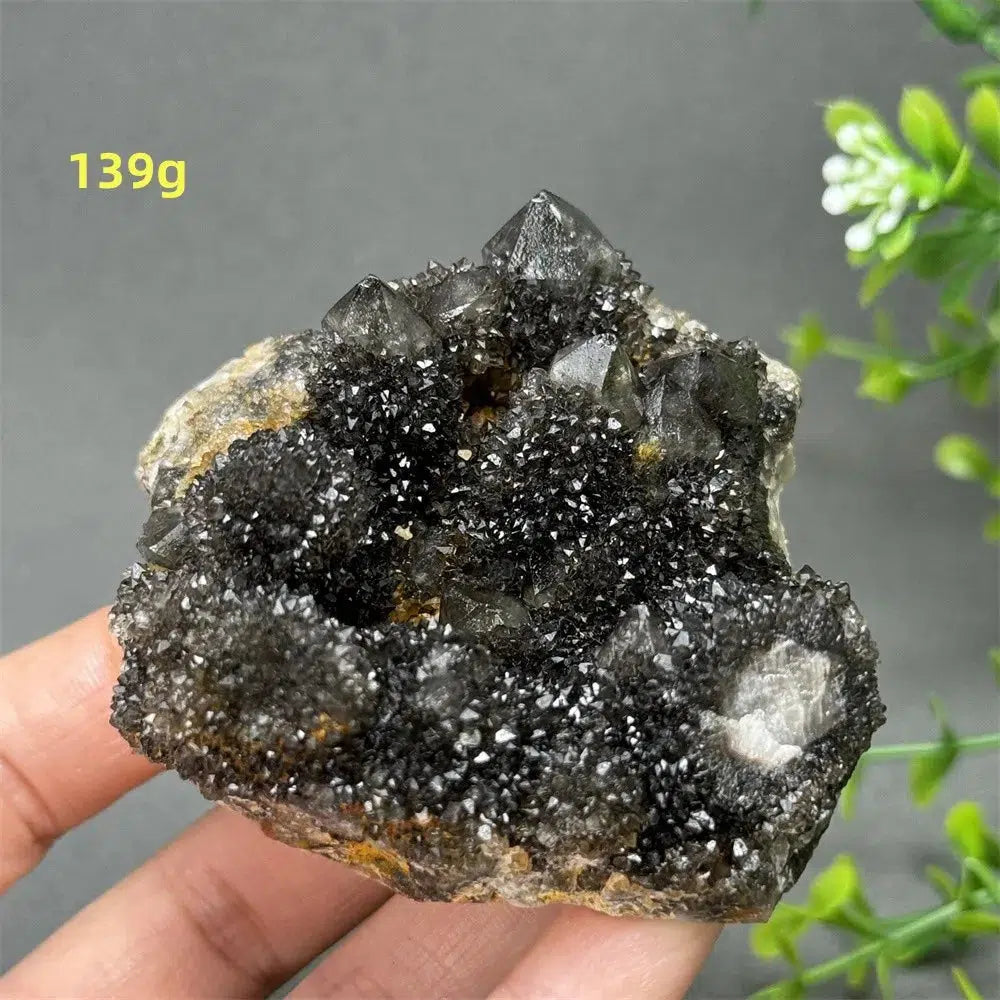 Natural Rare Black Cactus Quartz