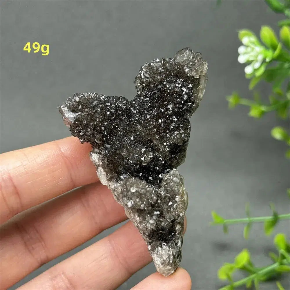 Natural Rare Black Cactus Quartz