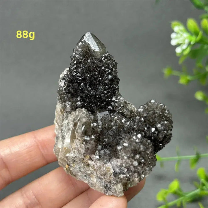 Natural Rare Black Cactus Quartz