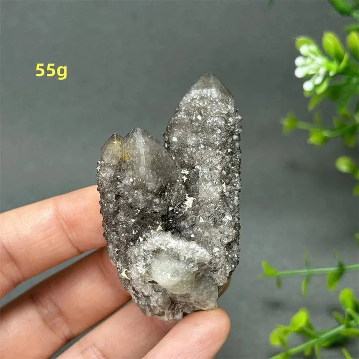 Natural Rare Black Cactus Quartz