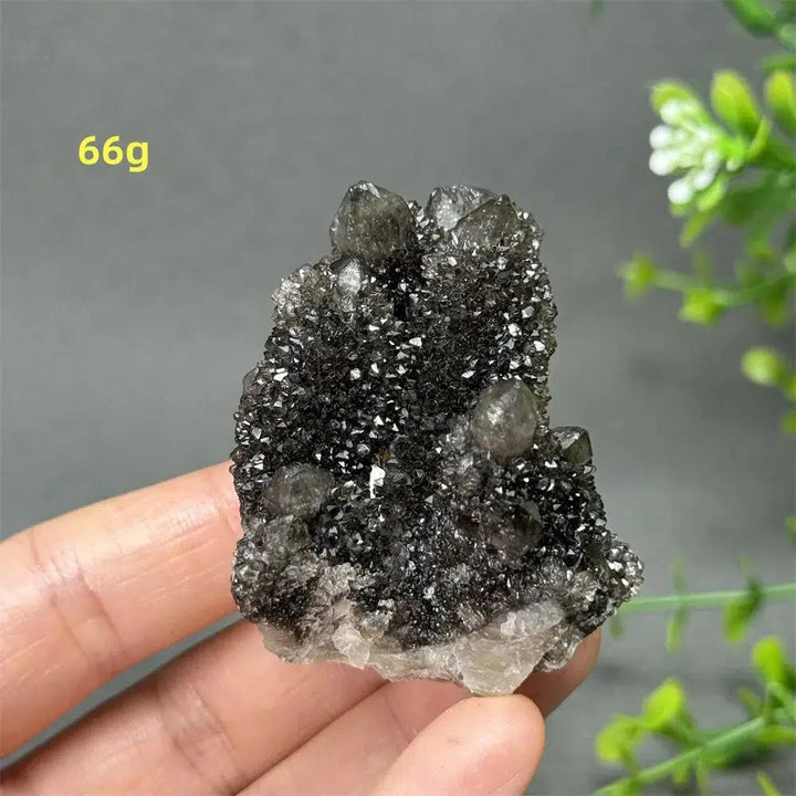 Natural Rare Black Cactus Quartz