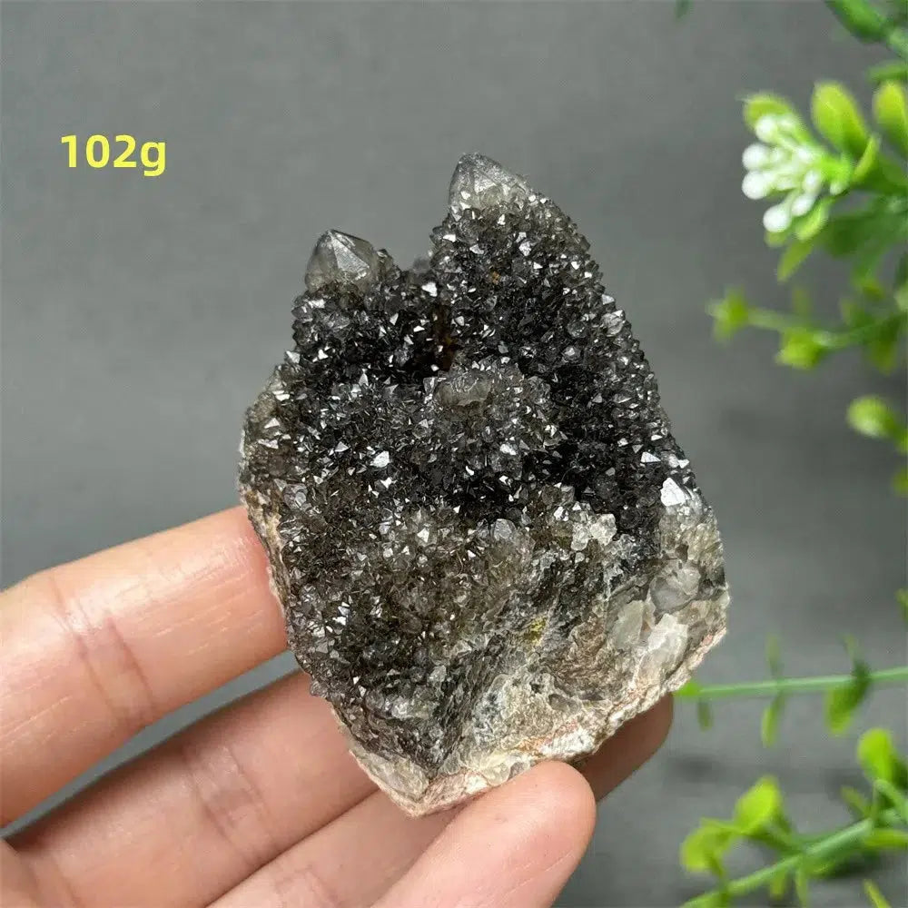 Natural Rare Black Cactus Quartz