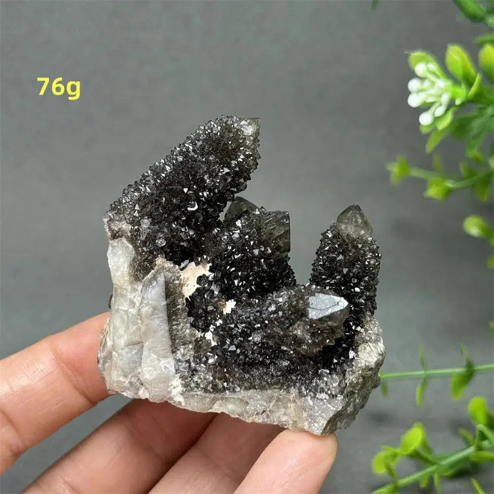 Natural Rare Black Cactus Quartz