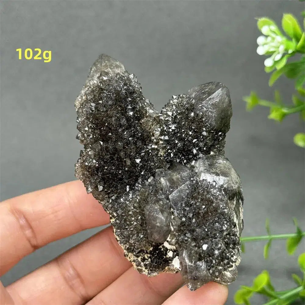 Natural Rare Black Cactus Quartz