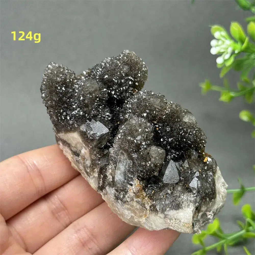 Natural Rare Black Cactus Quartz