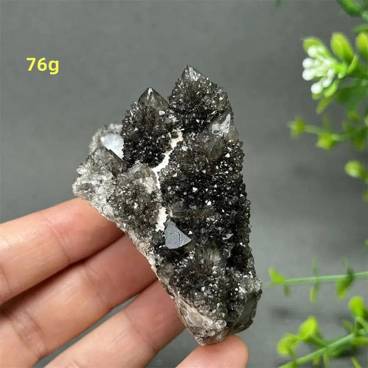 Natural Rare Black Cactus Quartz