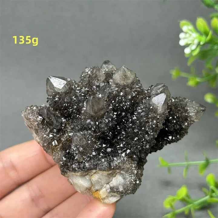 Natural Rare Black Cactus Quartz