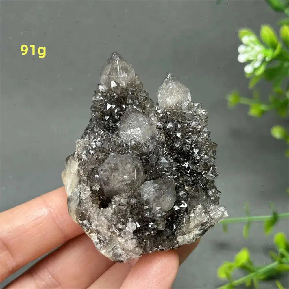 Natural Rare Black Cactus Quartz