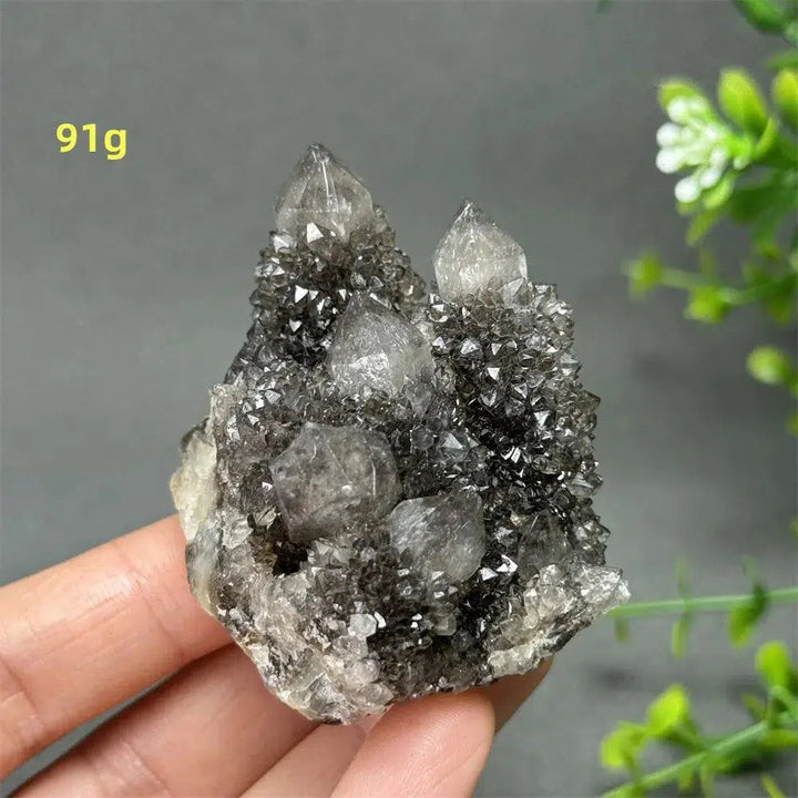 Natural Rare Black Cactus Quartz