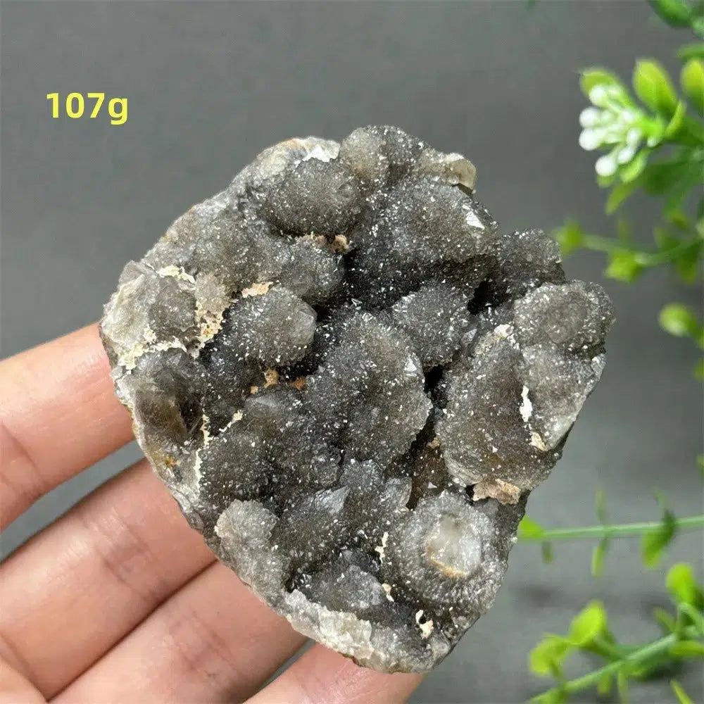 Natural Rare Black Cactus Quartz