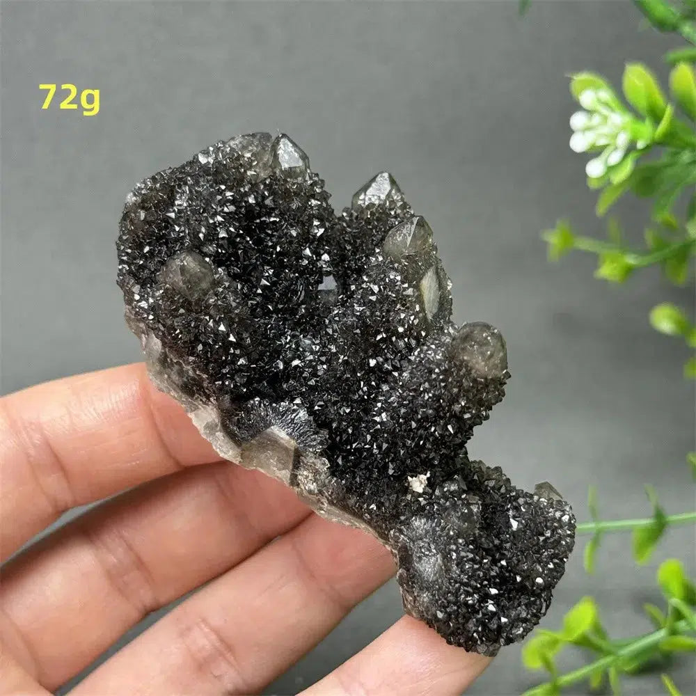 Natural Rare Black Cactus Quartz