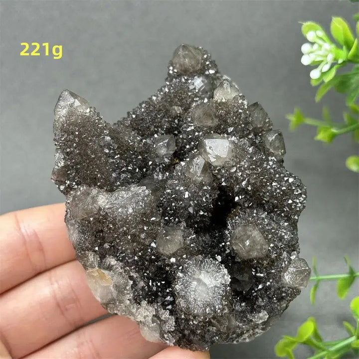 Natural Rare Black Cactus Quartz