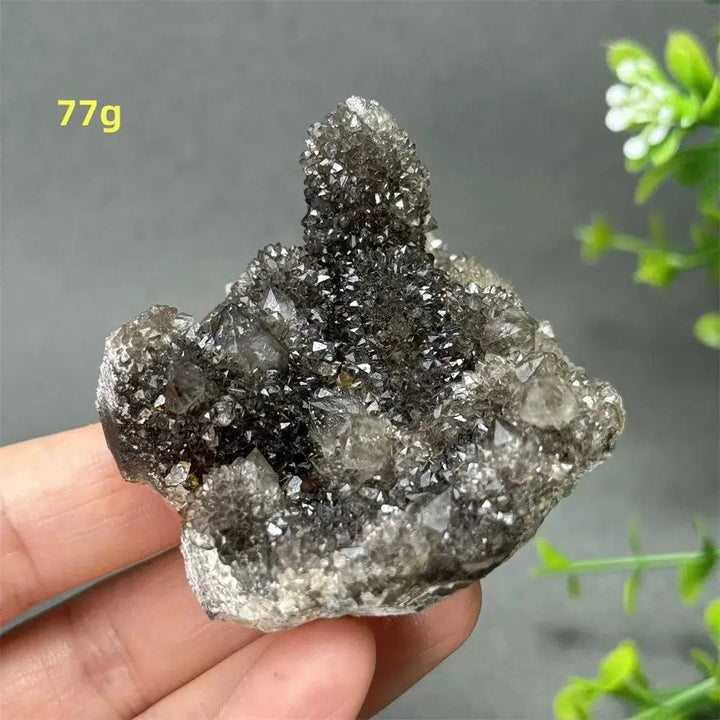 Natural Rare Black Cactus Quartz