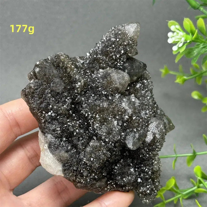 Natural Rare Black Cactus Quartz