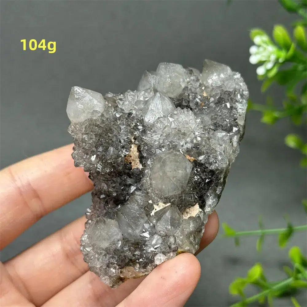 Natural Rare Black Cactus Quartz