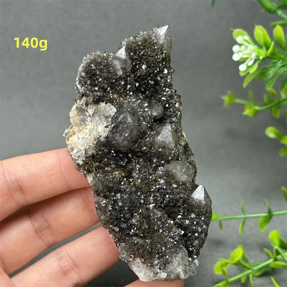 Natural Rare Black Cactus Quartz