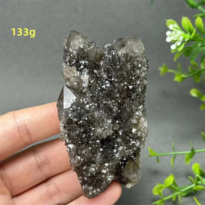 Natural Rare Black Cactus Quartz