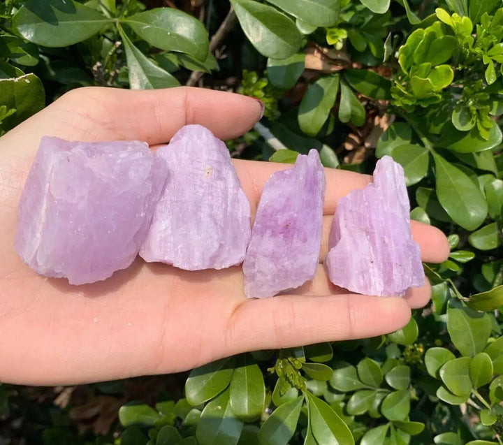 Natural Raw Kunzite Crystal