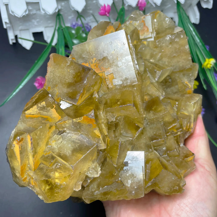 Natural Raw Yellow Fluorite Crystal Cluster