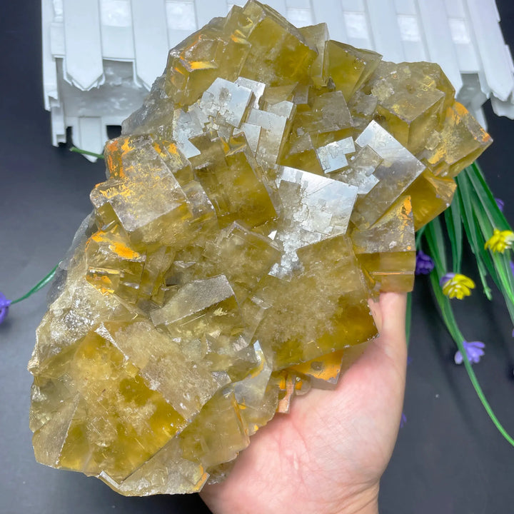 Natural Raw Yellow Fluorite Crystal Cluster