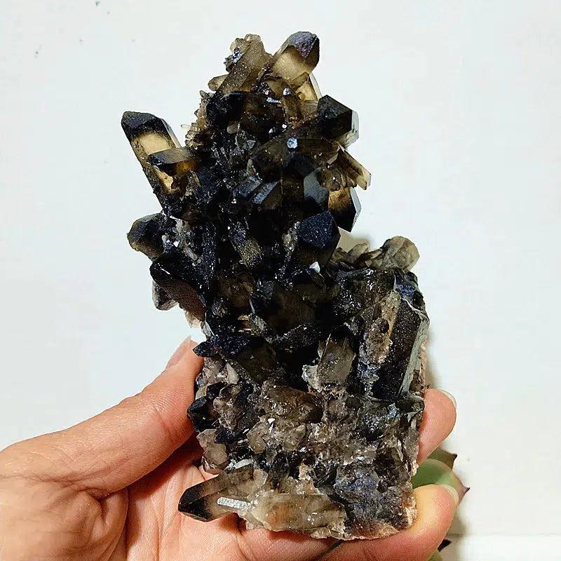 Natural Smoky Quartz Cluster