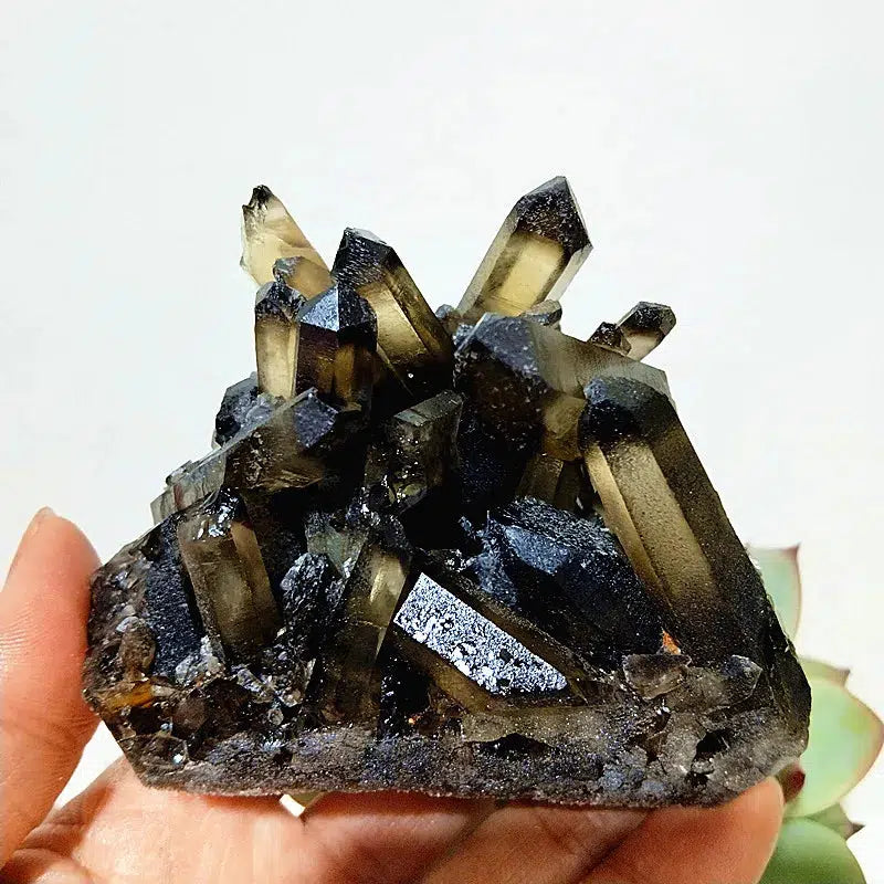 Natural Smoky Quartz Cluster