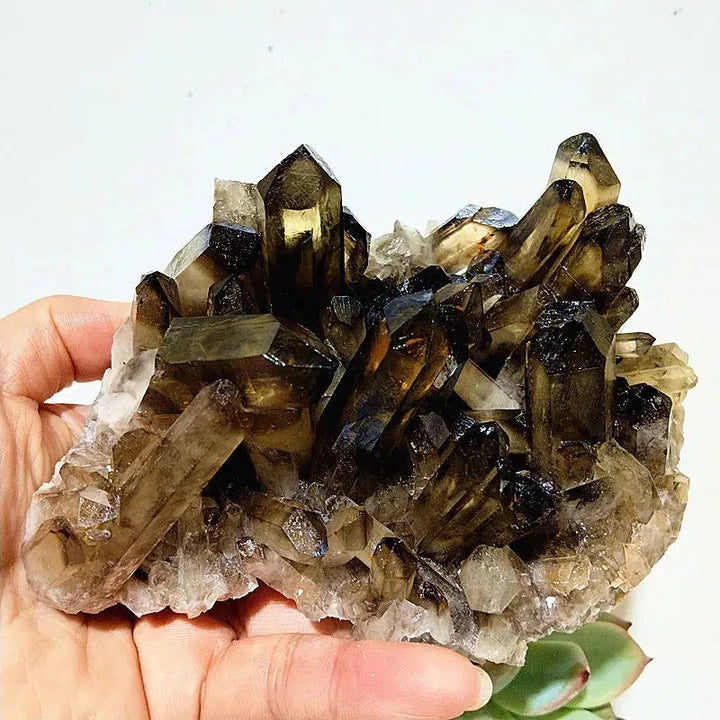 Natural Smoky Quartz Cluster