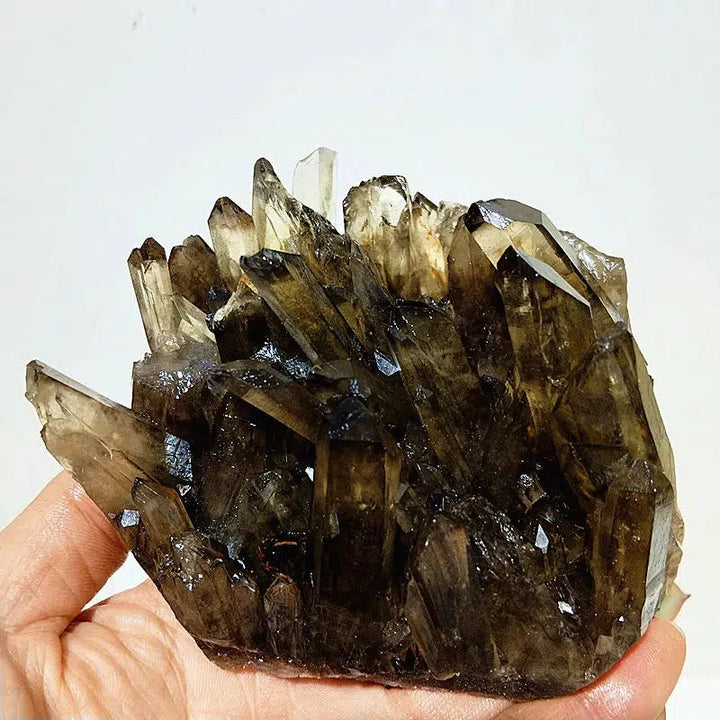 Natural Smoky Quartz Cluster