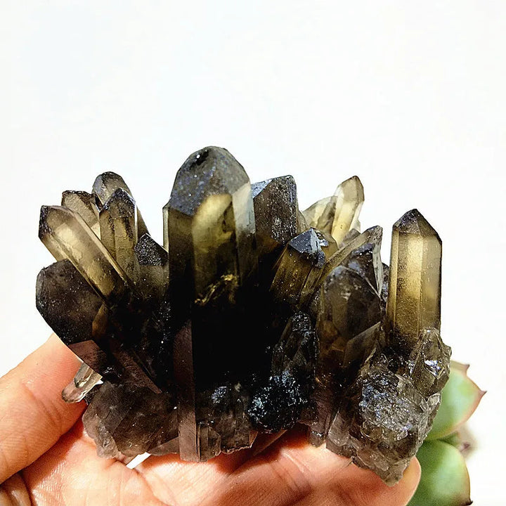 Natural Smoky Quartz Cluster