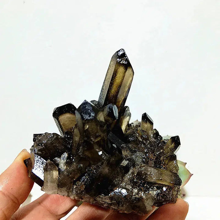 Natural Smoky Quartz Cluster