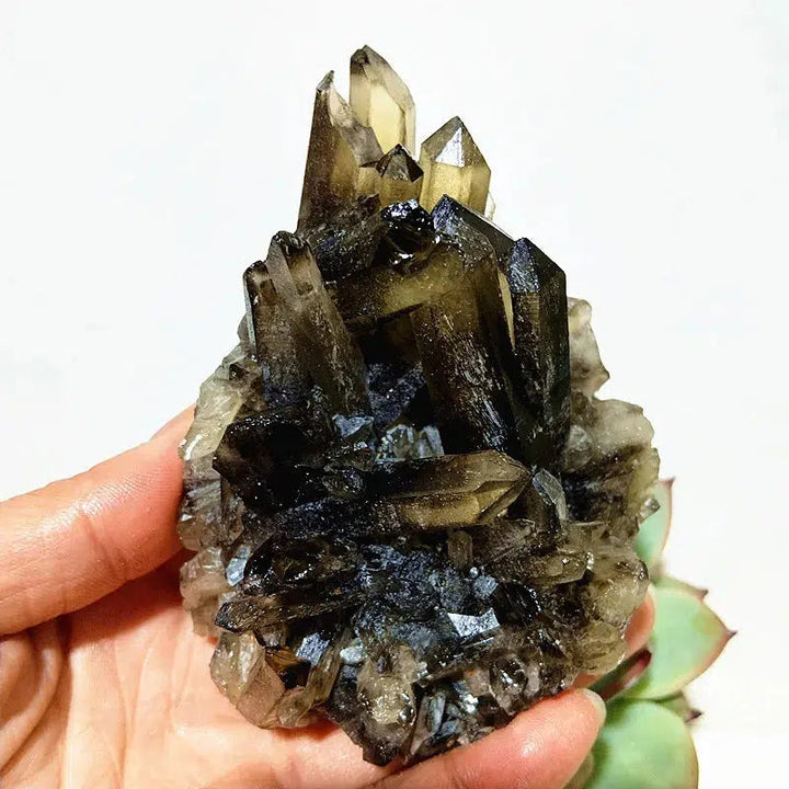 Natural Smoky Quartz Cluster