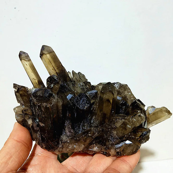 Natural Smoky Quartz Cluster