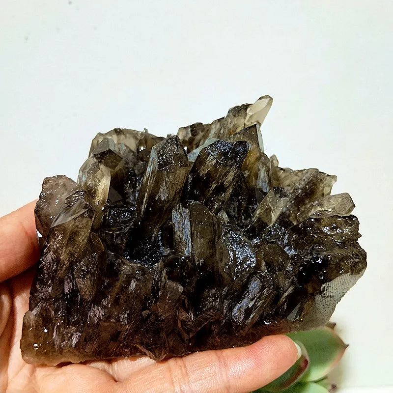 Natural Smoky Quartz Cluster