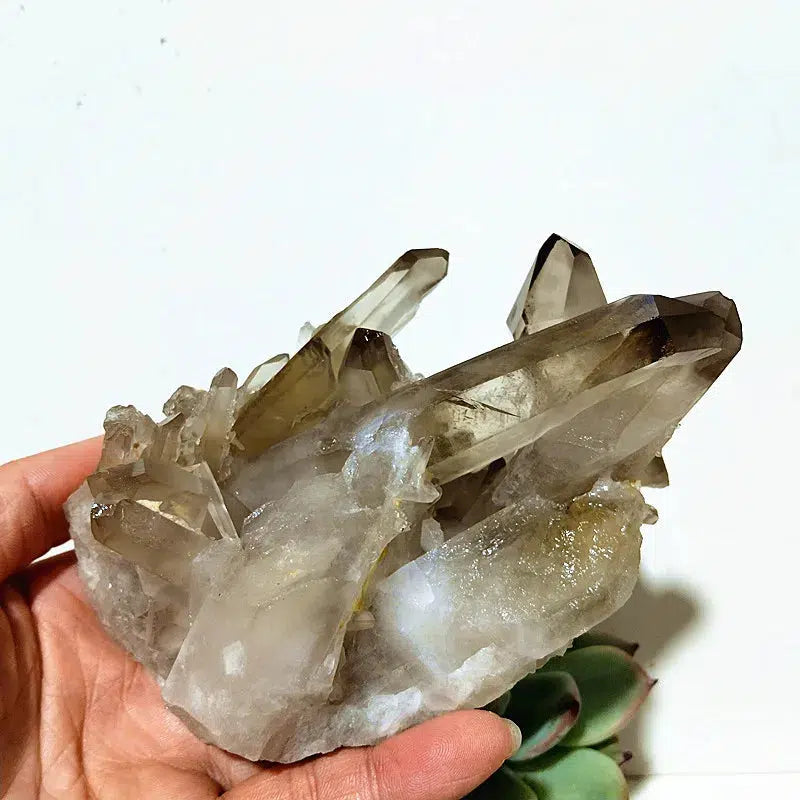 Natural Smoky Quartz Cluster