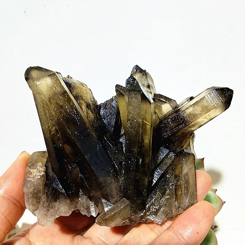 Natural Smoky Quartz Cluster