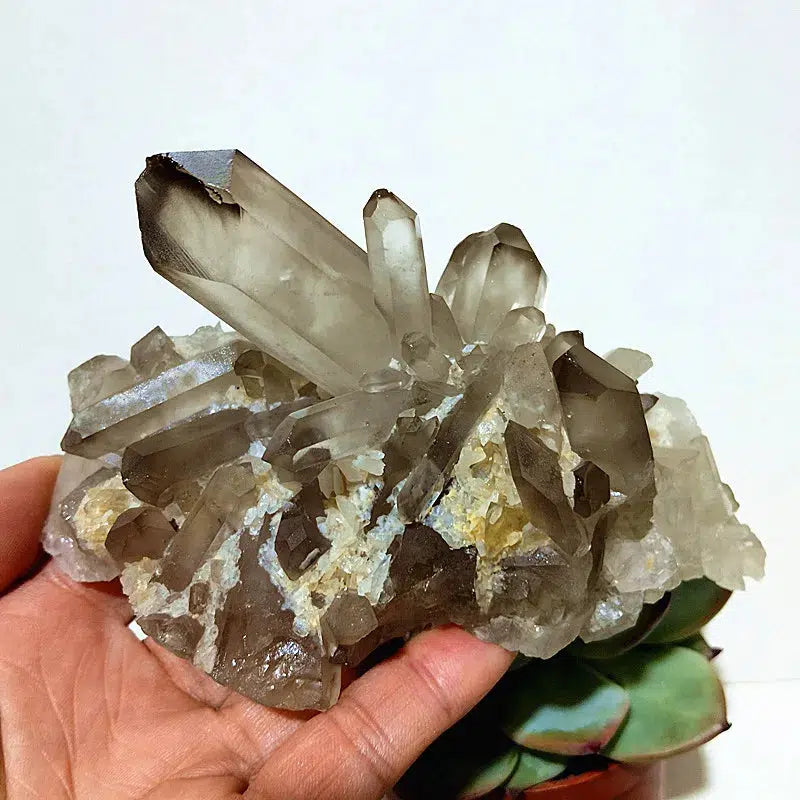 Natural Smoky Quartz Cluster