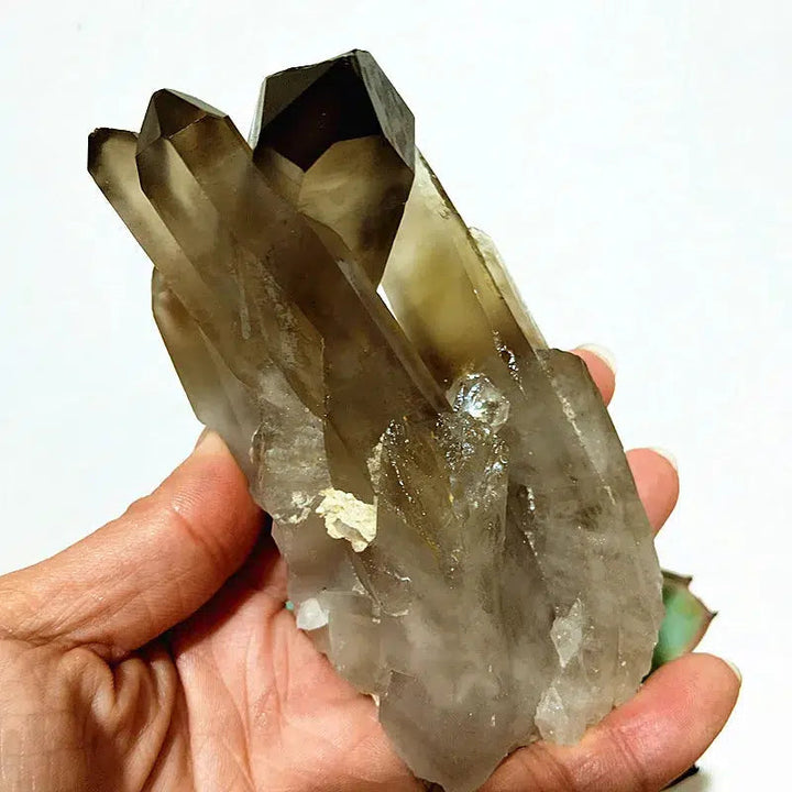 Natural Smoky Quartz Cluster