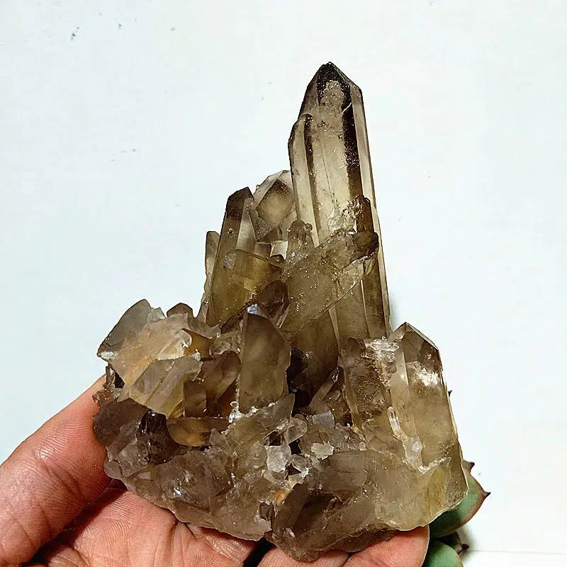 Natural Smoky Quartz Cluster