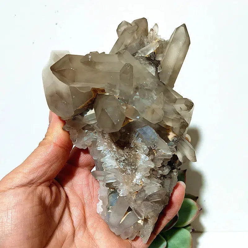 Natural Smoky Quartz Cluster