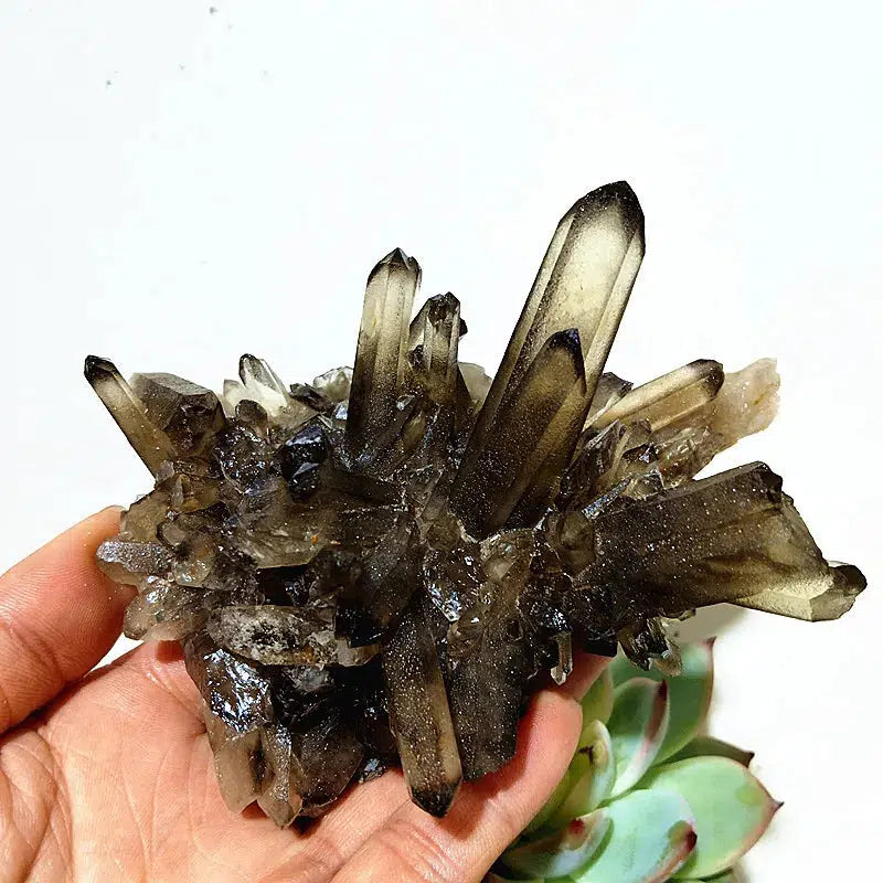 Natural Smoky Quartz Cluster