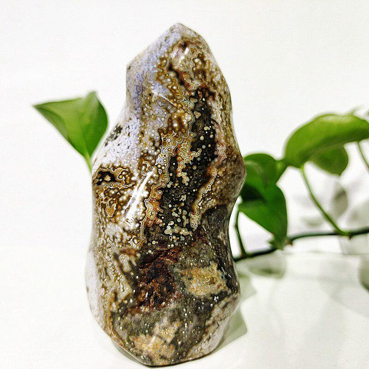 Ocean Jasper Crystal Freeform