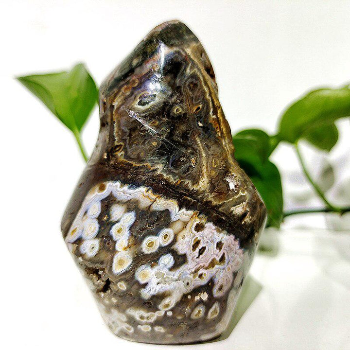 Ocean Jasper Crystal Freeform